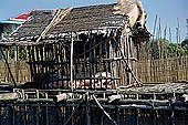 Tonle Sap - Kampong Phluk floating village - stilted houses